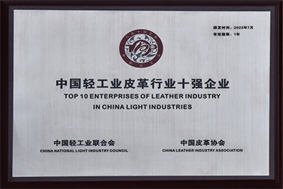 皮革行業(yè)十強企業(yè)